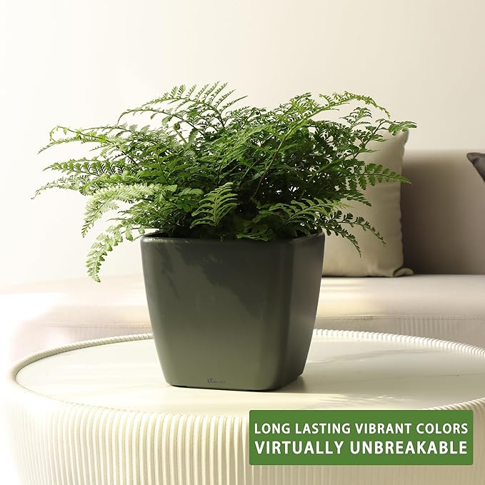 Dexceder 11x10 Self Watering Planter Indoor Outdoor, Inner Mat Design, - Image 6