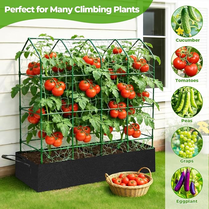 Large Cucumber Trellis for Climbing Plants Outdoor - Image 6