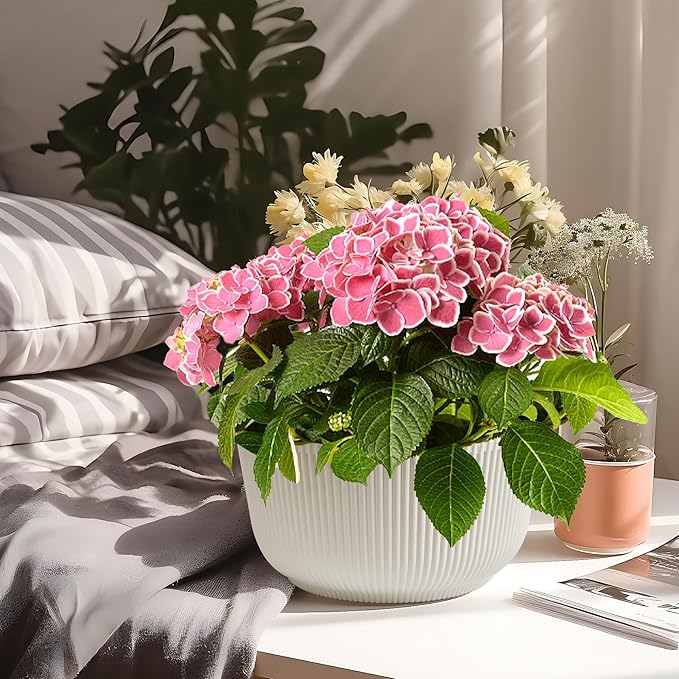 T4U 8 Inch Self Watering Pots for Indoor Plants, 2 Pack Plant Pots, Durable - Image 9