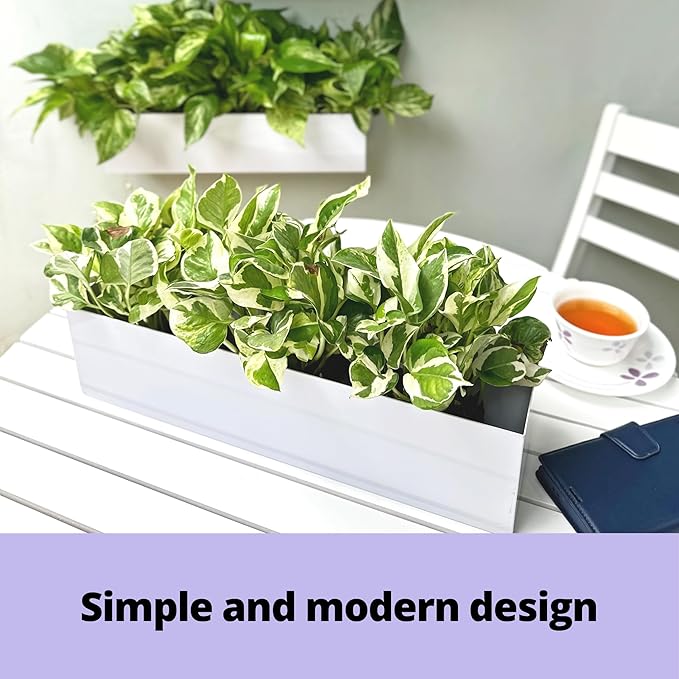 LaLaGreen Wall Planter Carbon Steel White Metal Hanging Flower Pot - Image 4