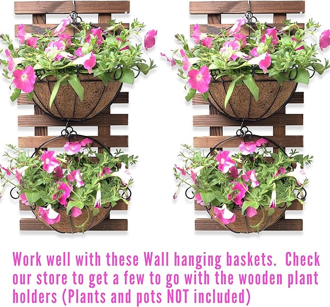 ShopLaLa Wall Planter - Image 4
