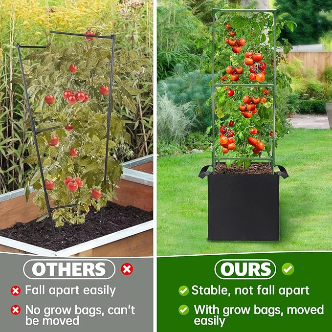 ANPHSIN 2 Sets Tomato Cages - Image 2
