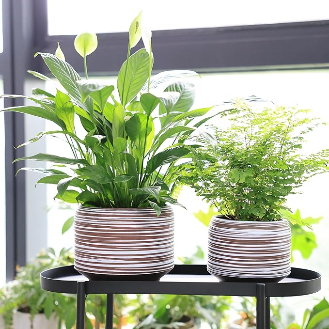 8 Inch + 6 Inch Ceramic Plant Pots Indoor - Image 5