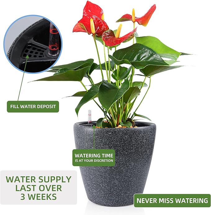 Dexceder 13x12 Self Watering Planter - Image 5