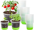 MIXC Thickened Clear Nursery Pots by MIXC