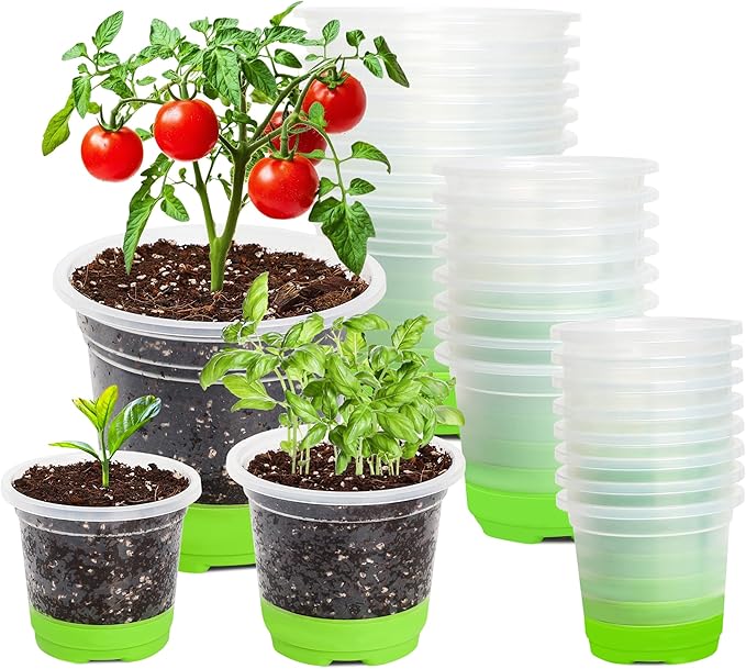 MIXC Thickened Clear Nursery Pots by MIXC