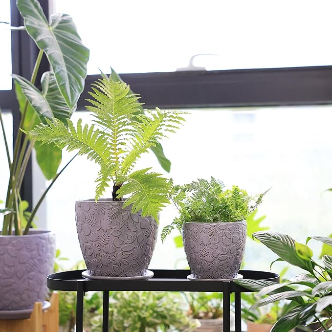 8 Inch + 6 Inch Retro Ceramic Planter Set of 2 - Image 7
