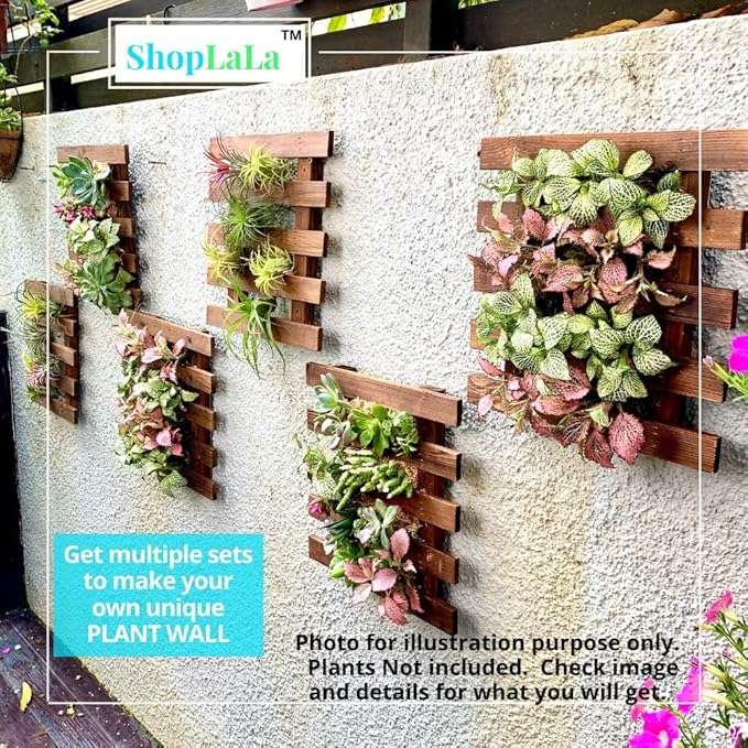 ShopLaLa Wall Planter - Image 4