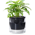 D'vine Dev 6 Inch Design Self Watering Planter by DvineDevPlanterPotsandStand