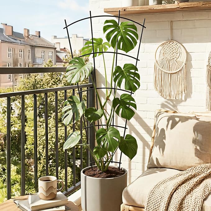 4 Pack 23'' Indoor Plant Trellis - Image 5
