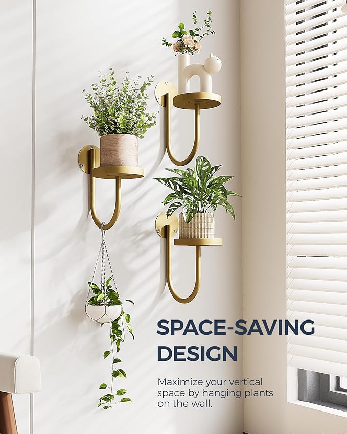 Bamworld Wall Plant Holder Wall Planters - Image 2