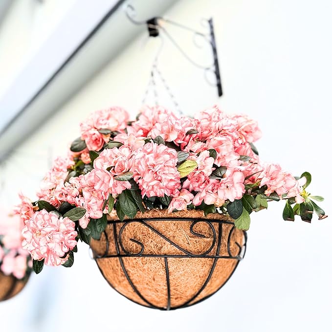 LaLaGreen Hanging Planter for Outdoor Plants Hanging Baskets by L%C3%A1L%C3%A1Green