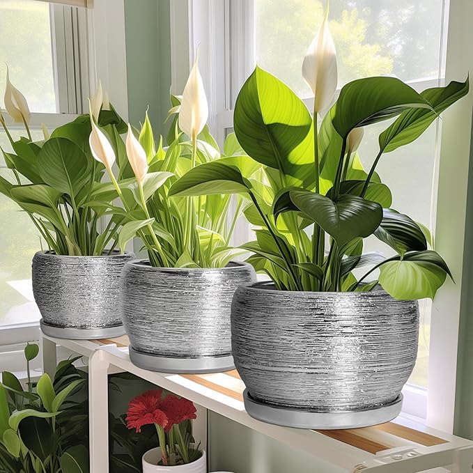 SQOWL Ceramic Pot for Plants - Image 6