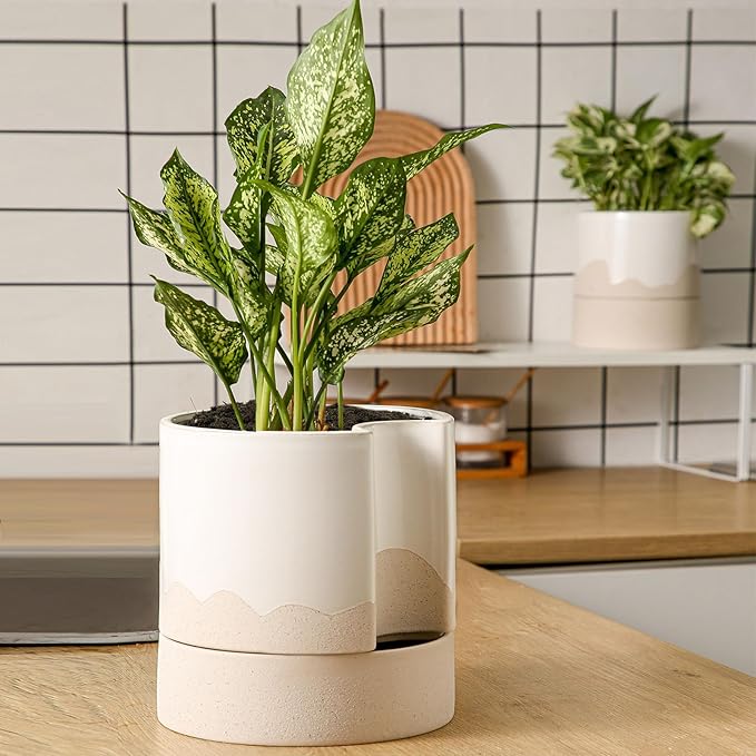 Nihow Self Watering Plant Pot: 8 Inch Ceramic Planter - Image 6
