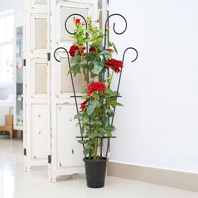 4 Pack 43'' Indoor Plant Trellis - Image 4