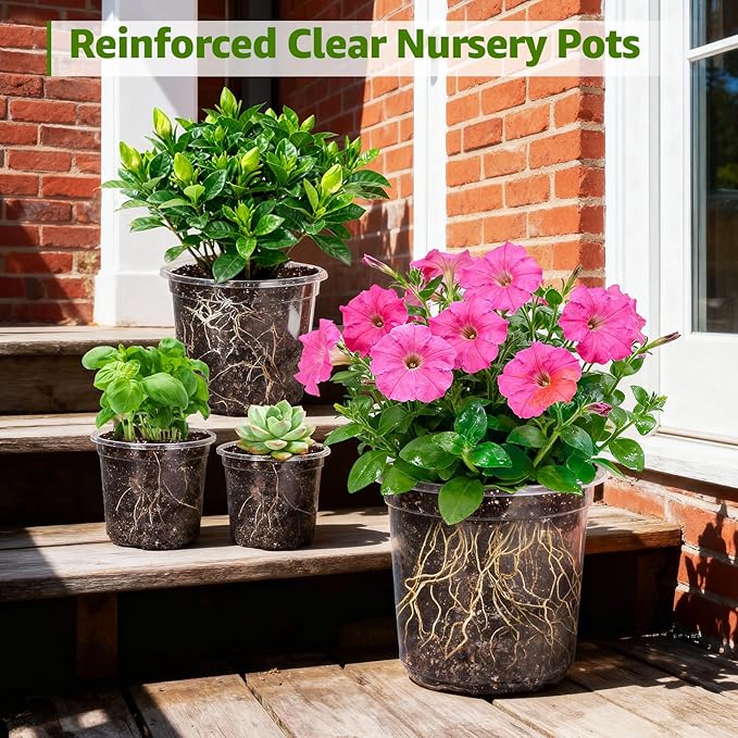 MIXC Clear Nursery Pots with Drainage Holes, 7/5/4/3.5 Inch Reinforced - Image 6