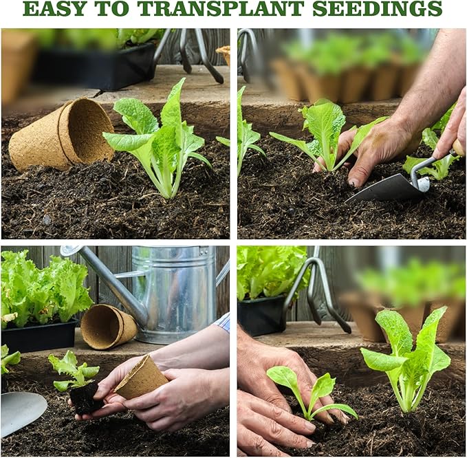 40Pcs 3.15 Inch Peat Pots, Biodegradable Eco-Friendly Round Plant Seedling - Image 6