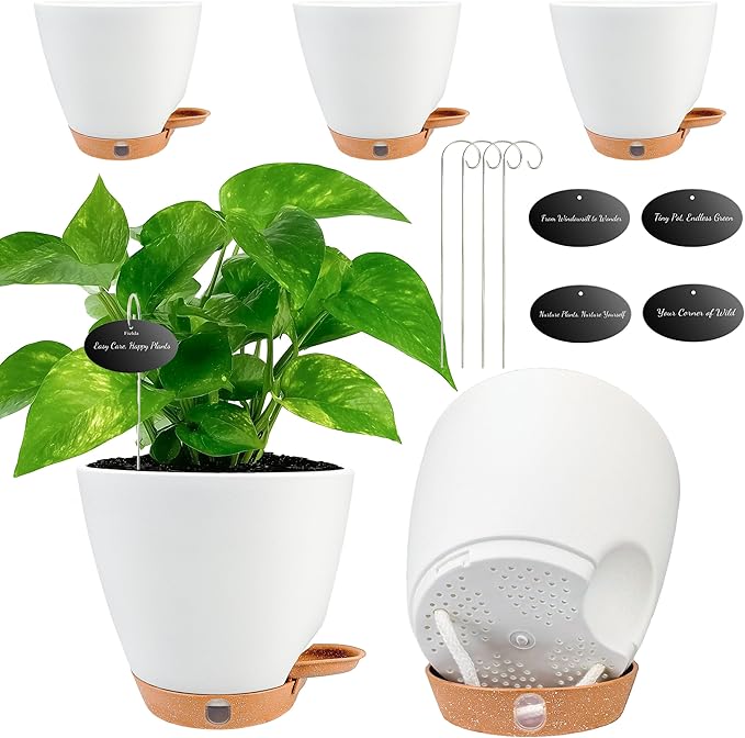 6 Inch Self Watering Pots for Indoor Plants – Small Plastic Planters by Fielda