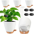 6 Inch Self Watering Pots for Indoor Plants – Small Plastic Planters by Fielda