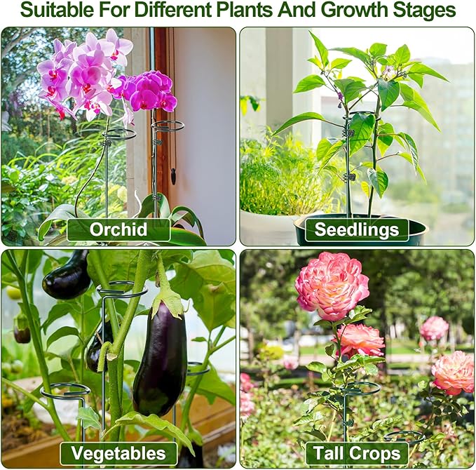 Mwellewm 3 Sets Plant Stakes 12/25/36 Inch Adjustable Plant Support Stakes Tall - Image 6