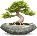 Bonsai Pots 18 Inch by Teagas
