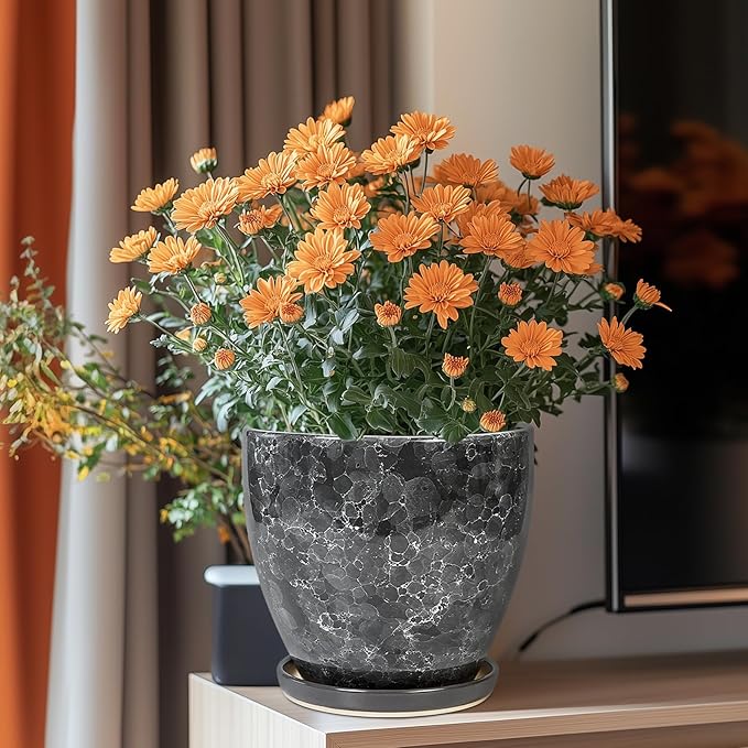 Ceraimc Planter - Image 2