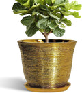 Ceramic Pots for Plants by SUNPOTFOR