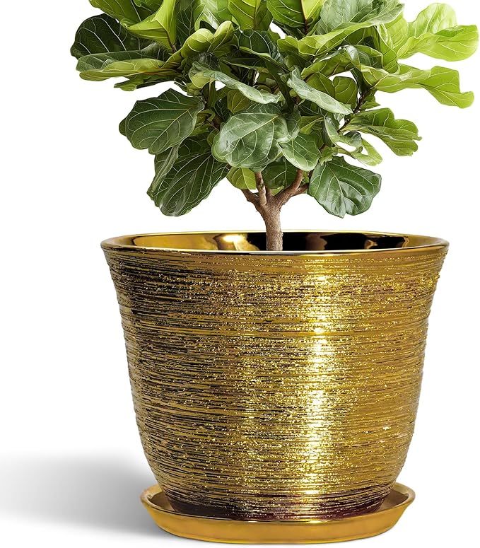 Ceramic Pots for Plants by SUNPOTFOR