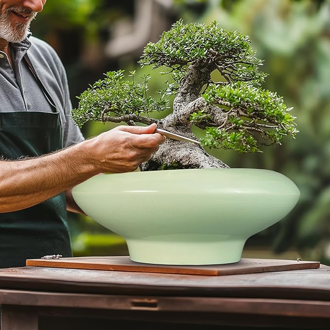 Ceramic Bonsai Pots - Image 4