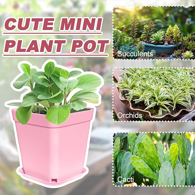 Anyumocz 70 PCS 3" Colorful Plastic Plant Pots, Plastic Square Nursery Pot - Image 4