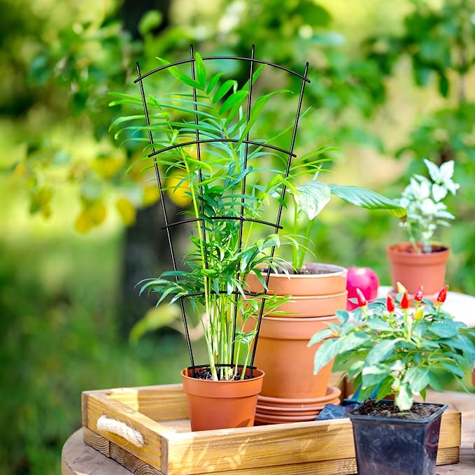4 Pack 23'' Indoor Plant Trellis - Image 6