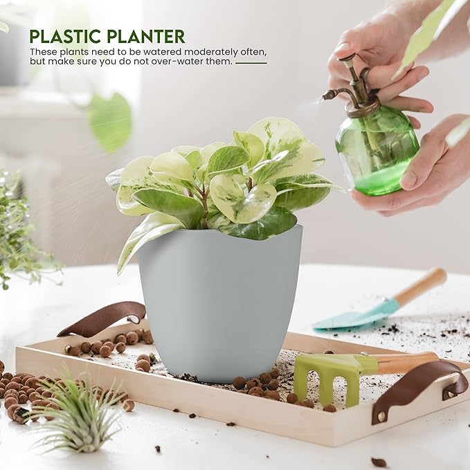 Utopia Home - Plant Pots Indoor - 7/6.6/6/5.3/4.8 Inches Flower Pots - Image 4
