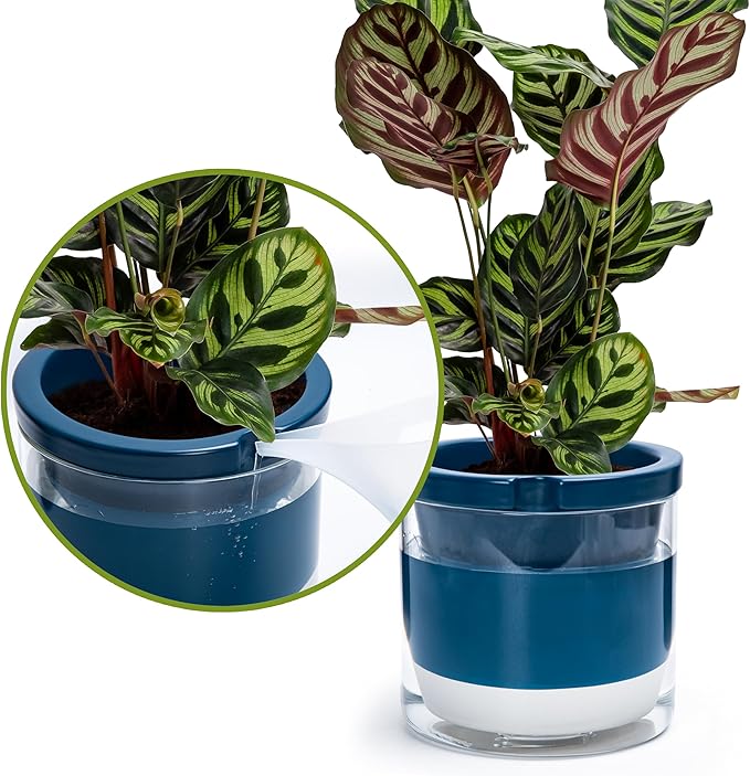 D'vine Dev 8 Inch Design Self Watering Planter - Image 7