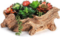 Tebery Artificial Driftwood Stump Log Planter Vintage Cactus Container by Tebery
