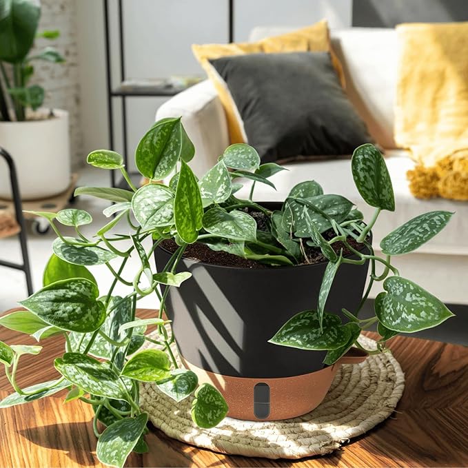 12/10/8 Inch Self Watering Pots - Image 9