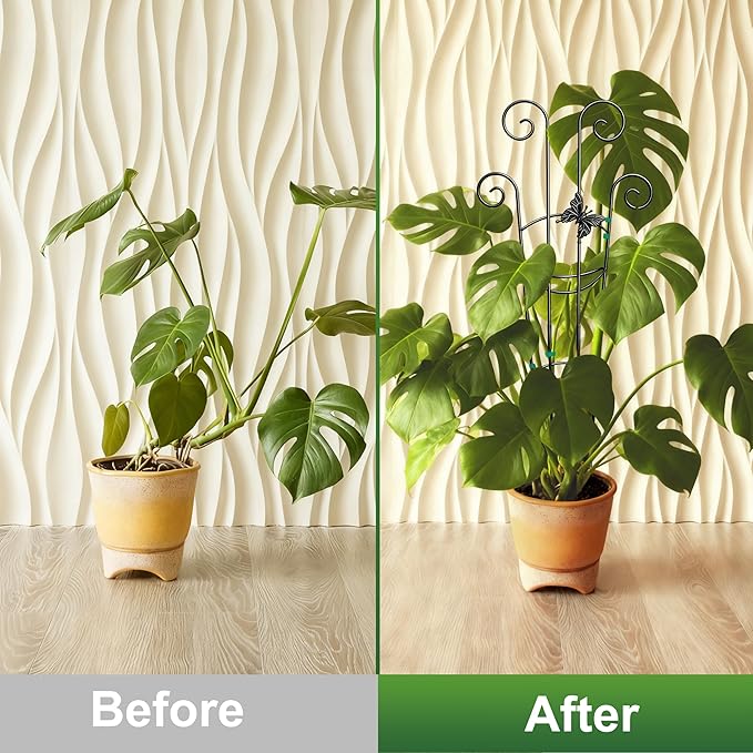 Coomin 32.6in Monstera Plant Support - Image 4
