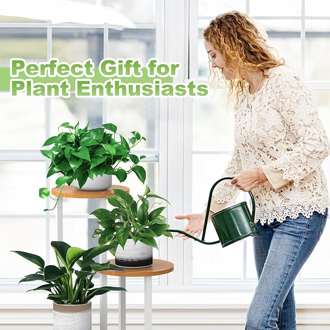 Plant Stand Indoor, 4 Tier Thickened Metal Corner Plant Shelf - Image 7