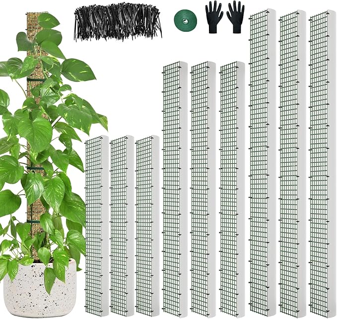 60"/40"/24" Metal Moss Pole, D Shape Sphagnum Moss Pole, Moss Poles by HOLANHING
