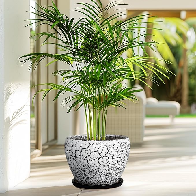 Ceramic Plant Pot 8 Inch - Image 7