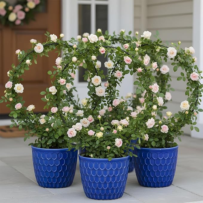 2 Pcs Trellis for Climbing Plants Indoor 14.5" Hoya Trellis Set Small Plant - Image 6