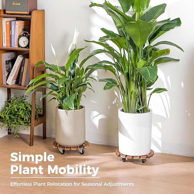 Bamworld Plant Stand with Wheels Plant Caddy Outdoor 4 Pack 12in Rolling - Image 4