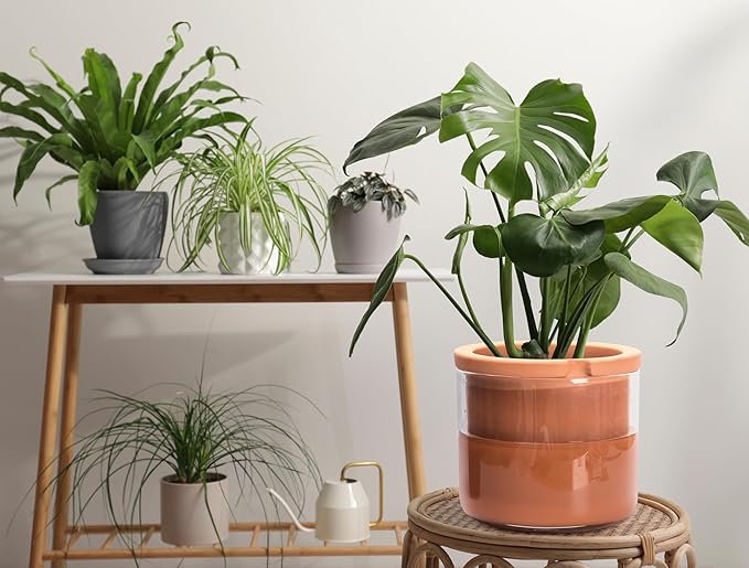 Phoenix Vine 8 Inch Self Watering Planter Pots, Design White Terracotta Pots - Image 8