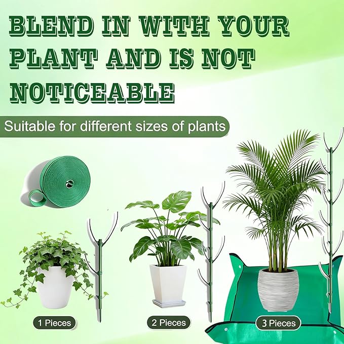 Monstera Plant Support Stakes Indoor - Image 2