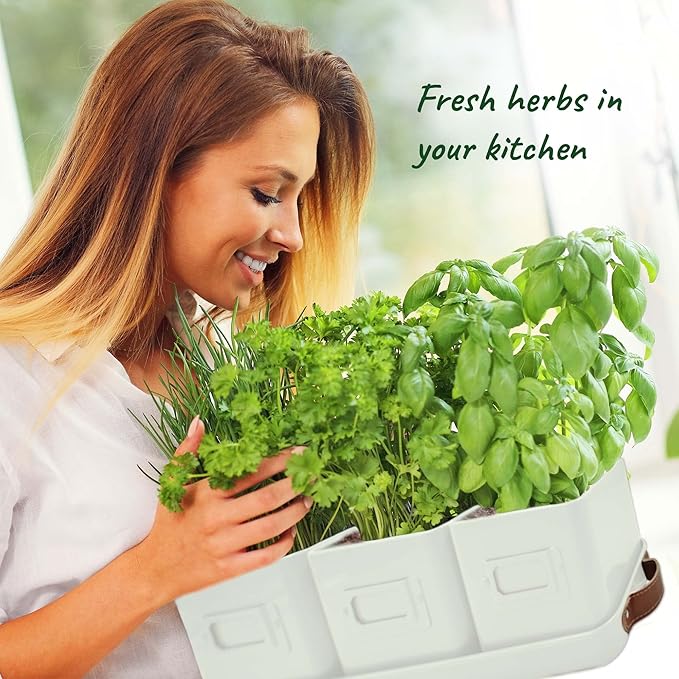 volila Herb Planter Indoor - Image 4