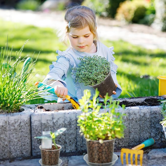 4 Inch Clear Nursery Pots for Plants - Image 7