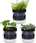 Phoenix Vine 4 Inch Self Watering Planter Pot by Phoenix+Vine