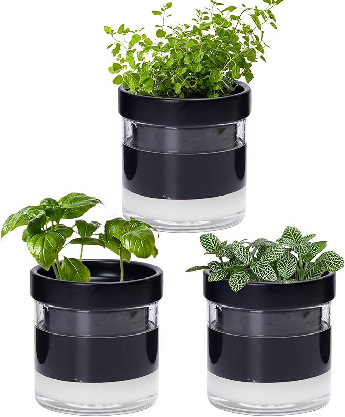 Phoenix Vine 4 Inch Self Watering Planter Pot by Phoenix+Vine