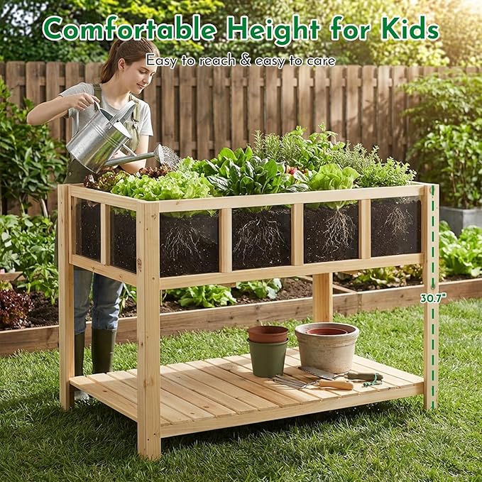 Raised Garden Bed with Transparent Acrylic Panels, Elevated Wooden Raised - Image 7