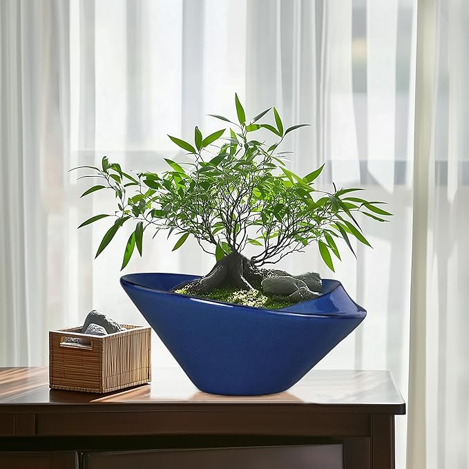 Bonsai Tree Pot 13 Inch - Image 8