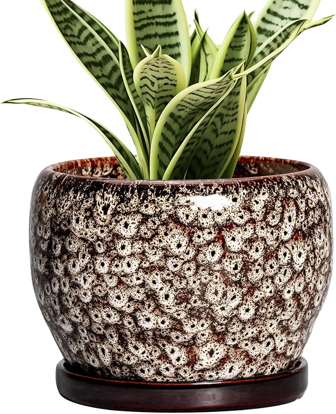 SQOWL Ceramic Plant Pots by SQOWL